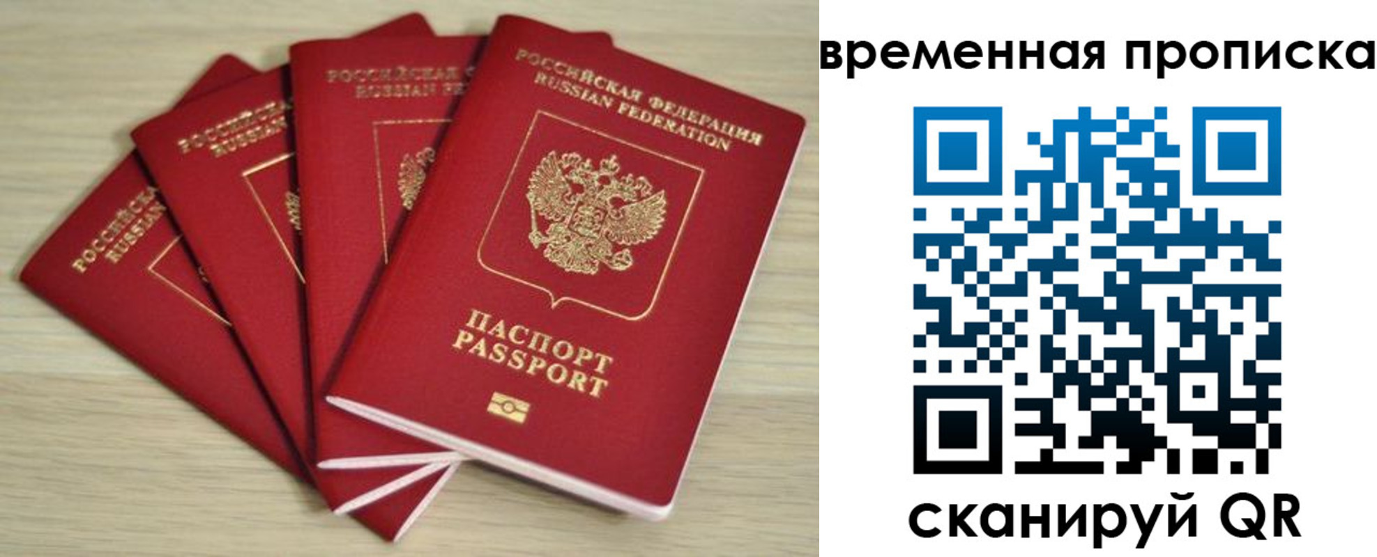прописка для школы в Лосино-Петровском