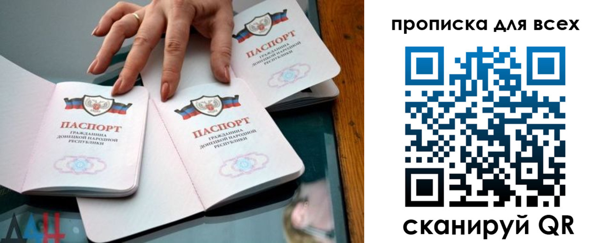 прописка гарантия в Лосино-Петровском